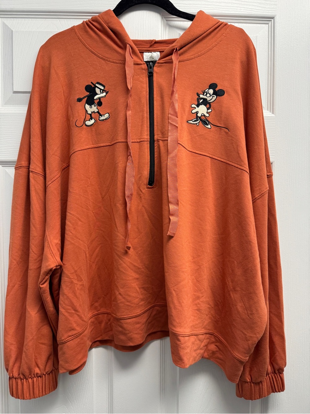 Disney Rust Orange Zip Hoodie with Drawstring